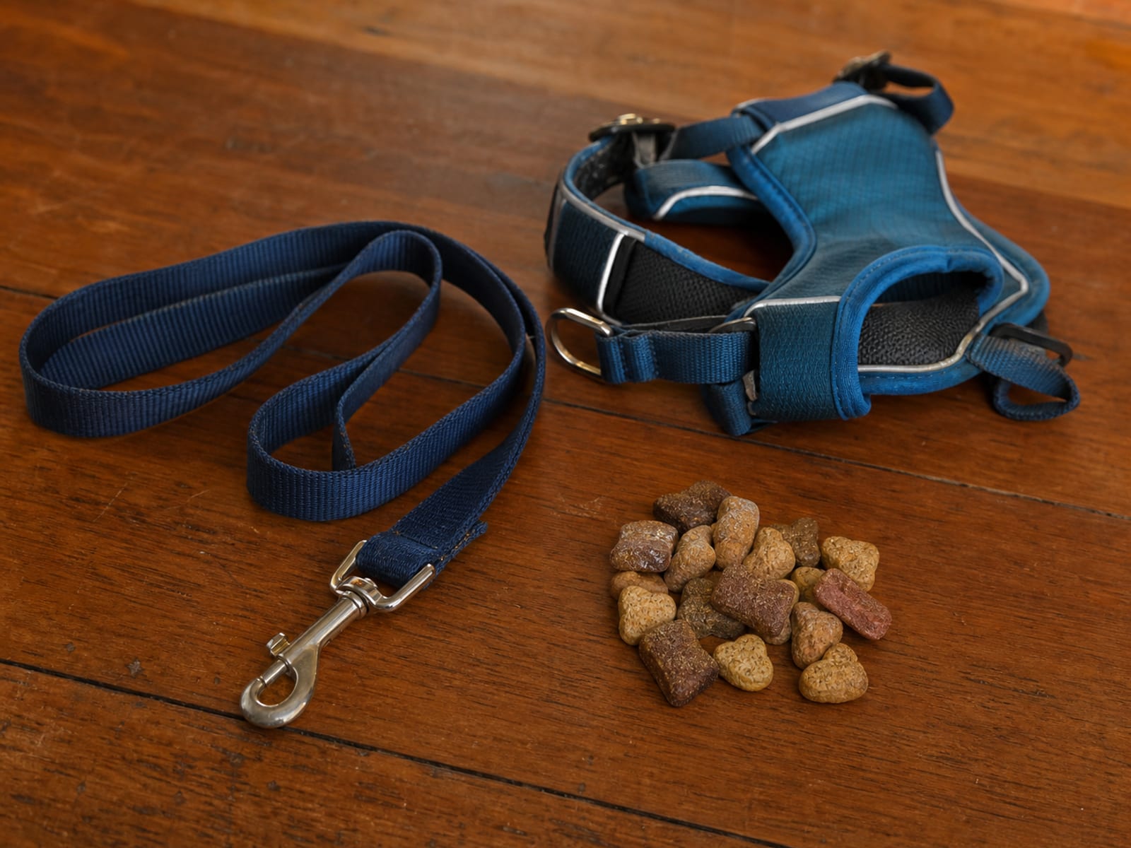 Baltimore Biting Dog Training