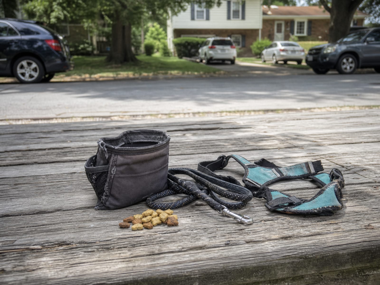 Practical Applications for Dog Owners