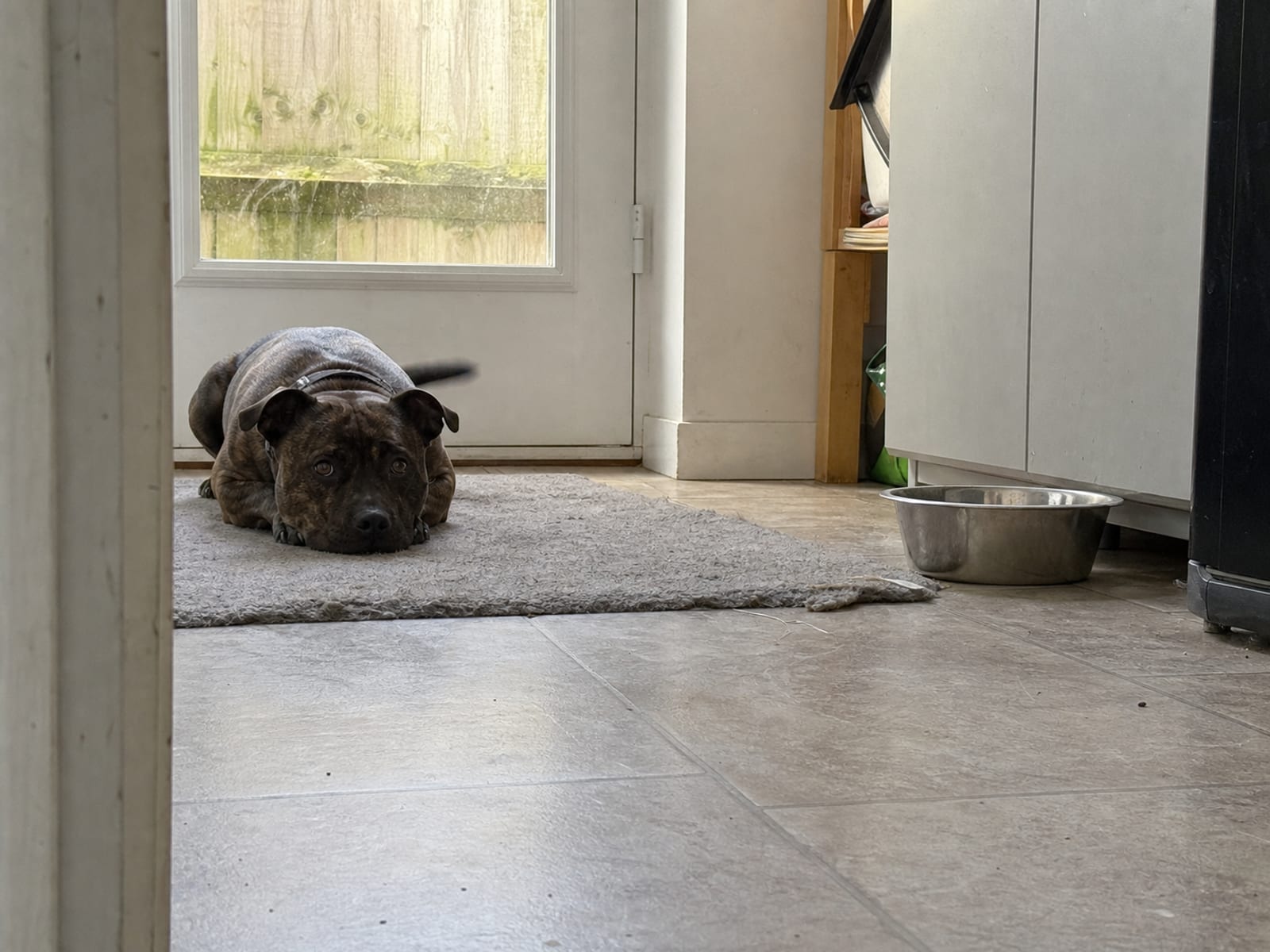 What Owners Should Prepare For and Do