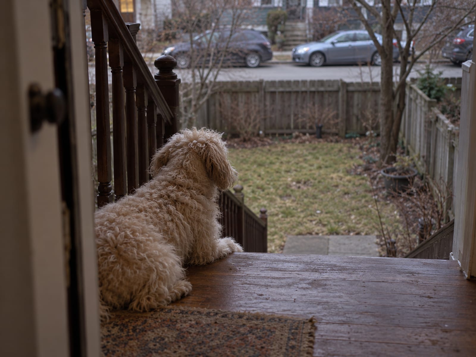 Can the dog be trusted after a bite?