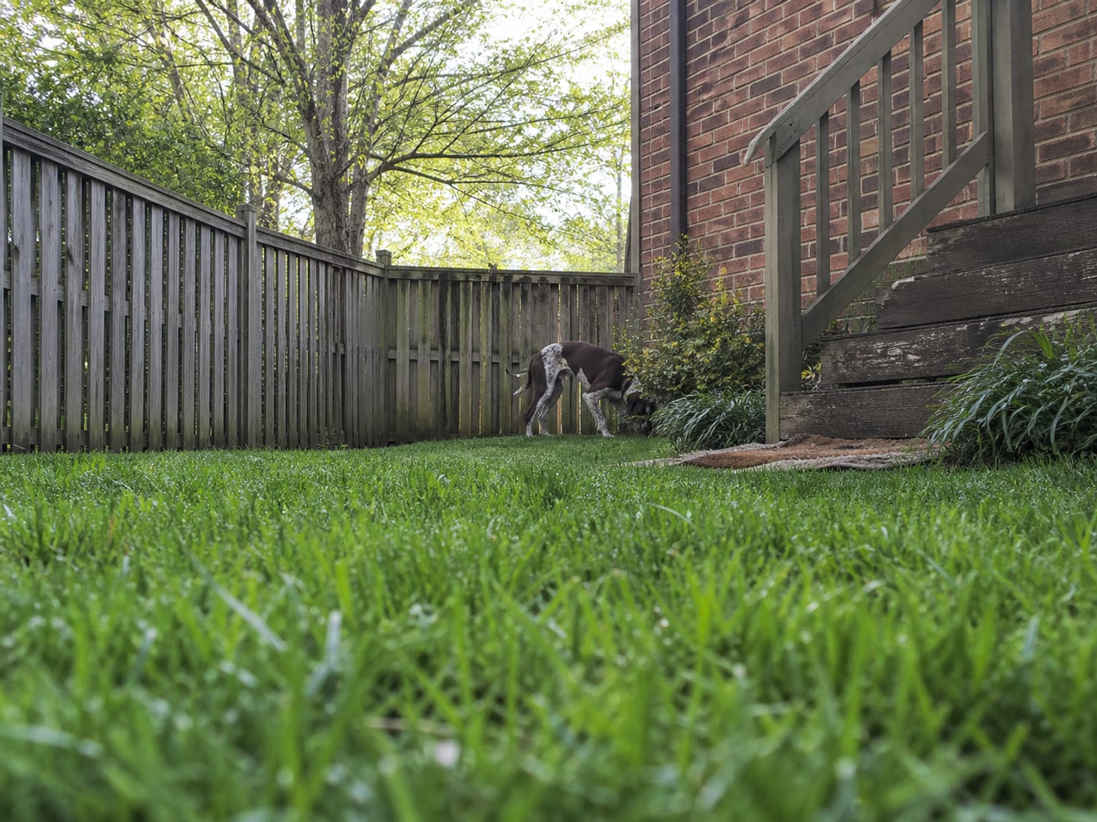 What Homeowners Should Prepare For and Do