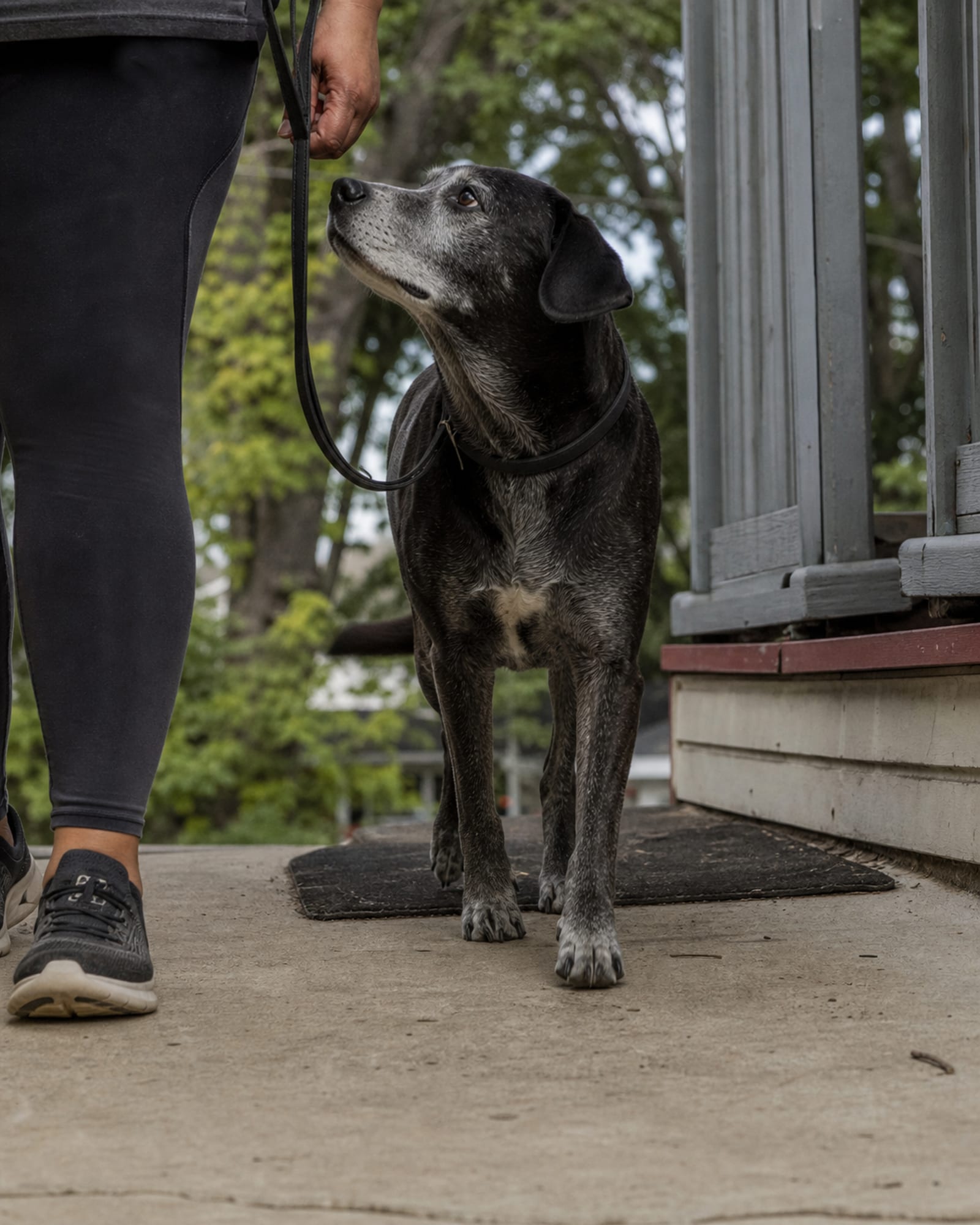 A dog walking at heel beside a handler's lower legs, cropped at the knee