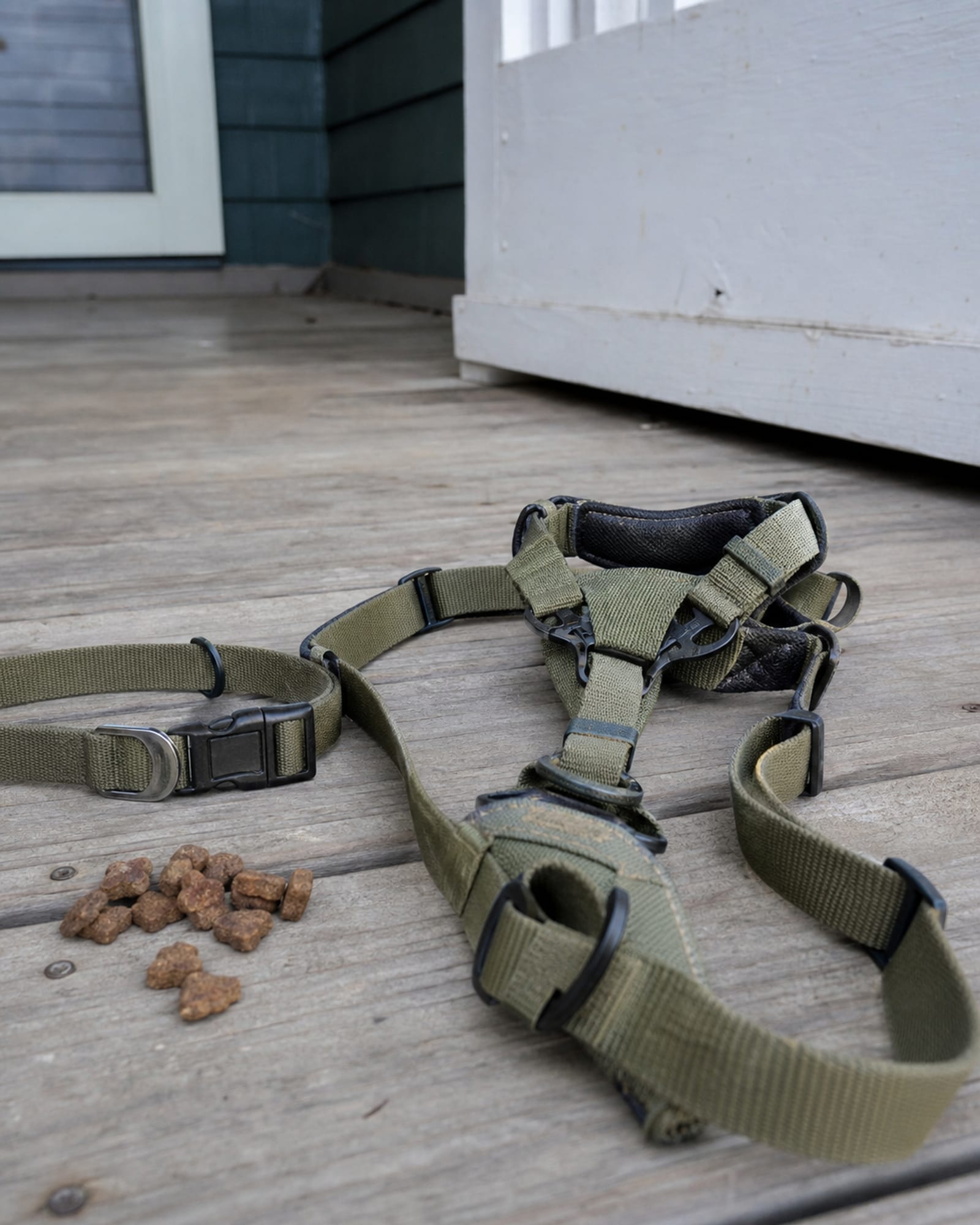 A still life of a flat collar, a harness and training treats on a wooden surface, no dog
