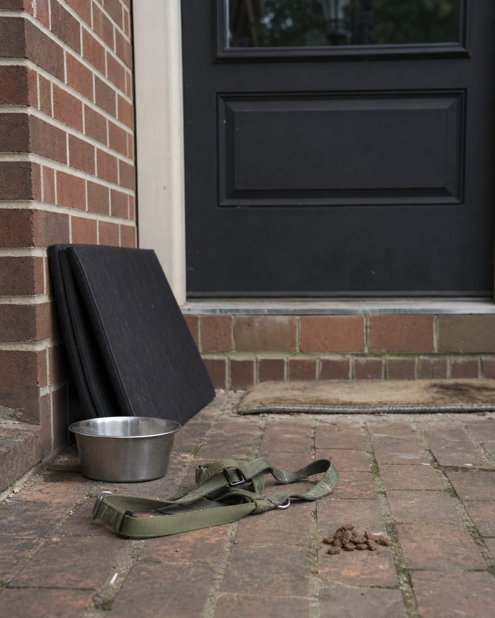 A folded training mat and a water bowl by a back door, no dog