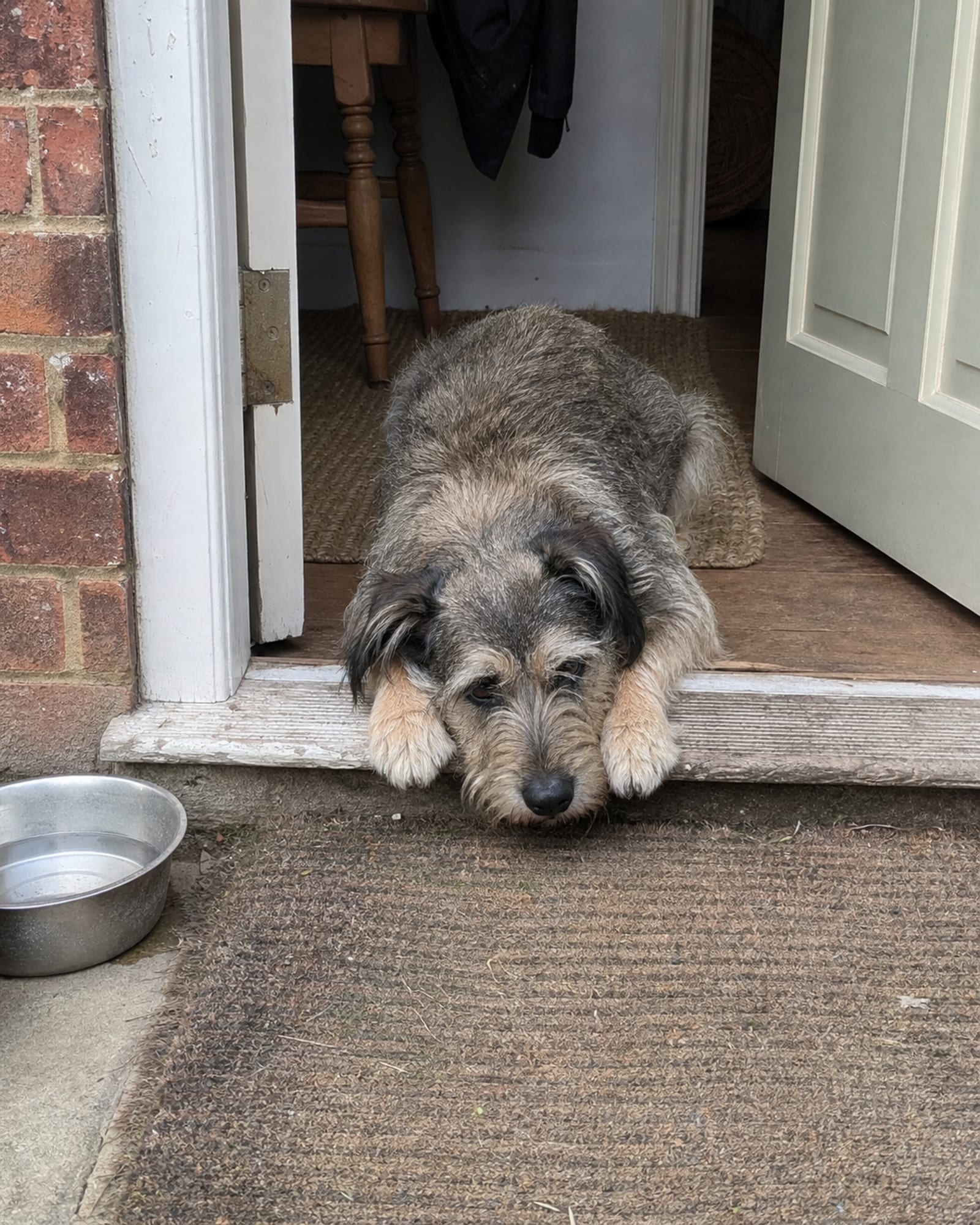 A dog lying across a doorway threshold, head on paws