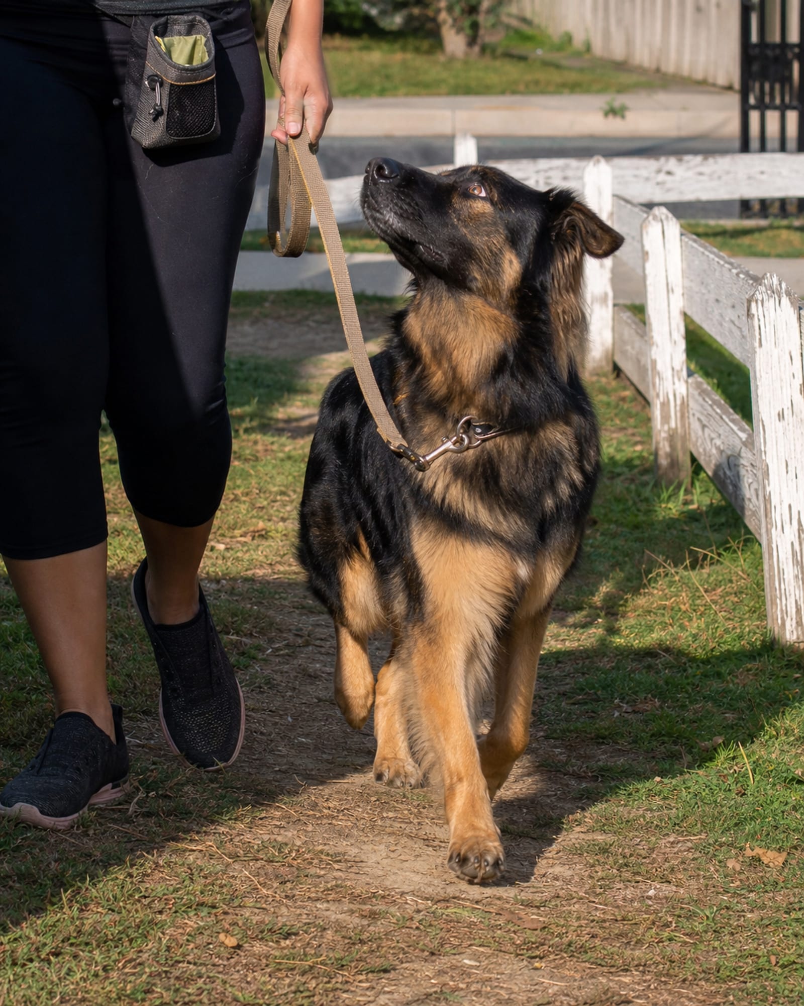 A dog walking at heel beside a handler's lower legs, both cropped at the knee