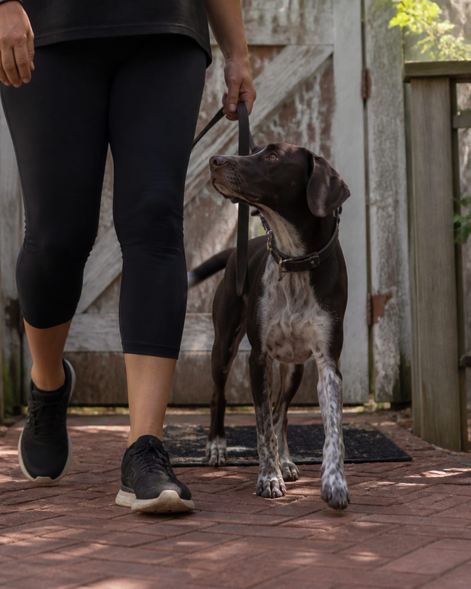 A dog walking at heel beside a handler's lower legs, both cropped at the knee, in Gaithersburg, MD