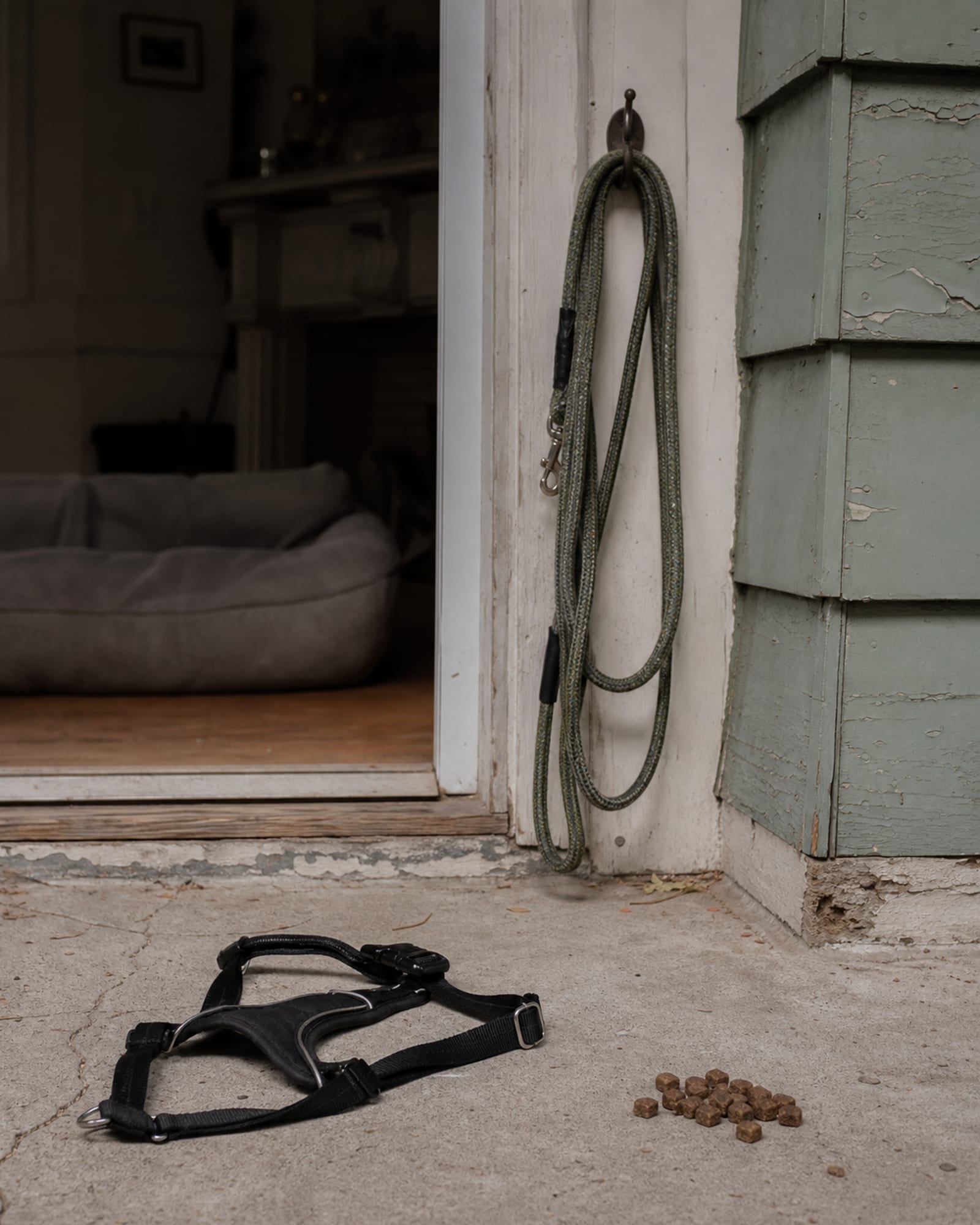 A lead coiled on a hook by a door, no dog in frame