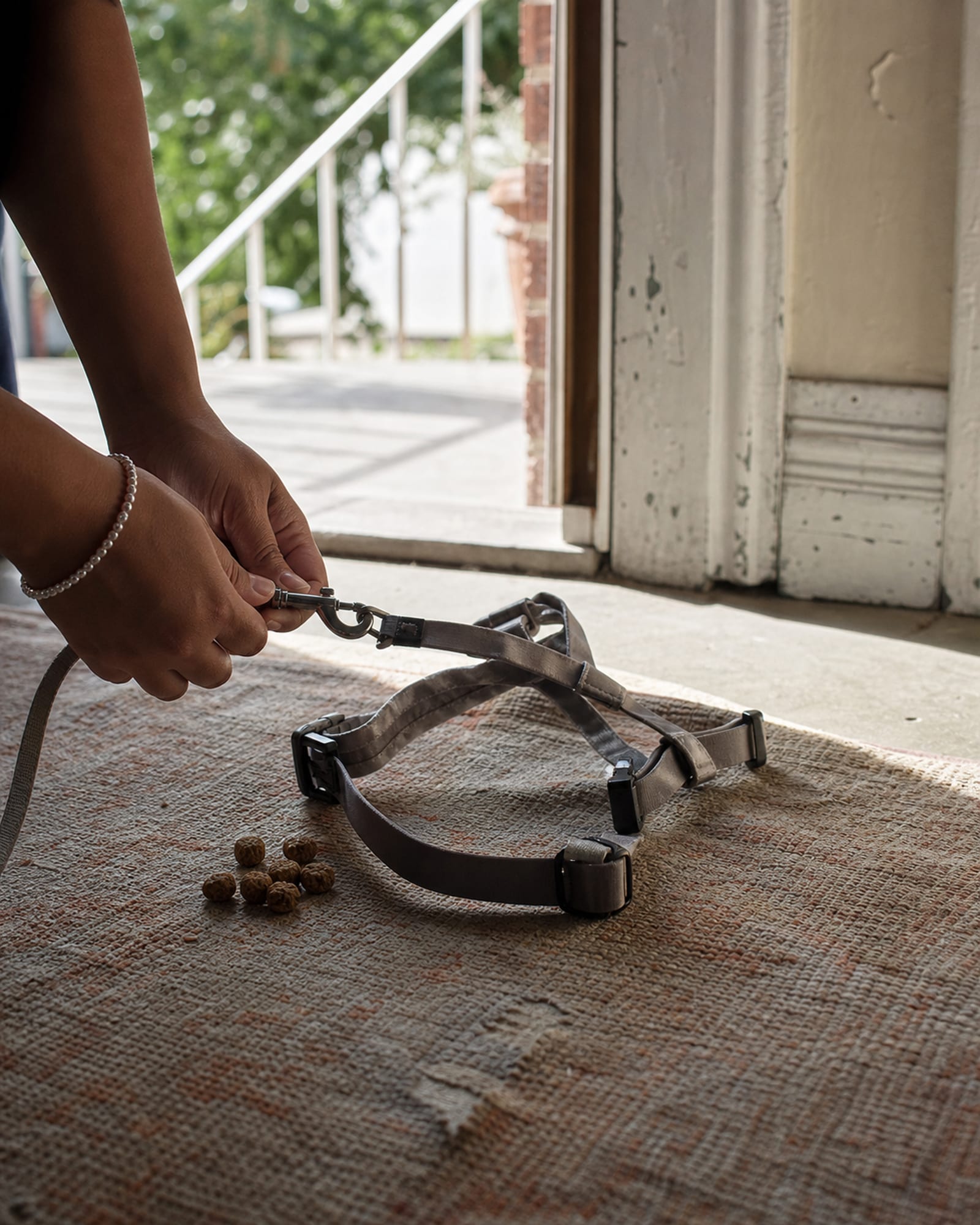 A hand clipping a lead to a flat collar, cropped at the wrist