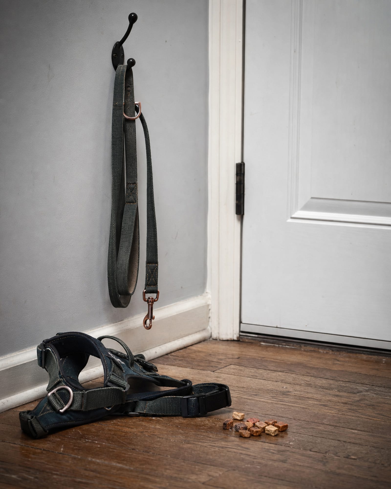 A lead coiled on a hook by a door, no dog in frame