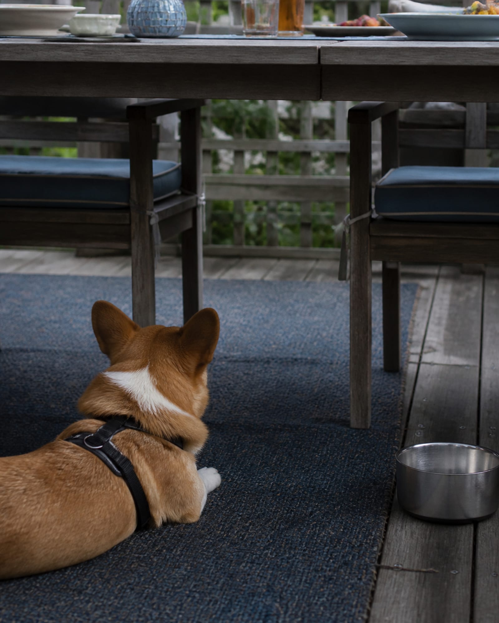 A dog settled under a table, out of the walkway, while people eat above it.
