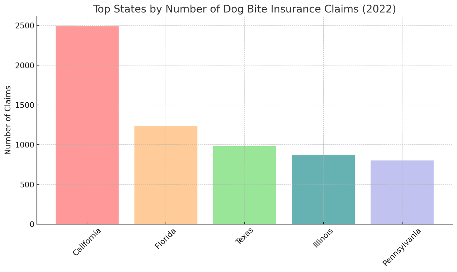 Causes of Dog Aggression A Revealing Exploration into the Heartfelt