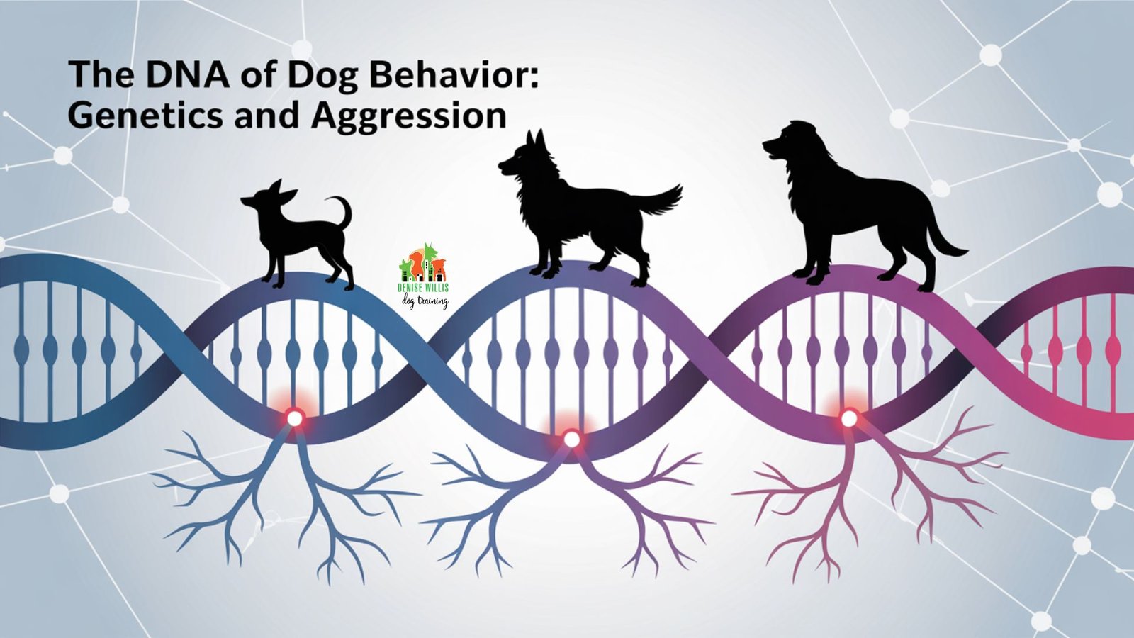 Vector illustration showing DNA strands connecting dog breeds with different genetic predispositions to aggression outling genetics and dog aggression.
